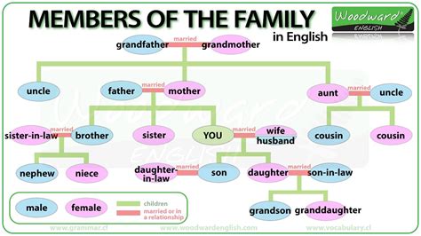 What does Google know about me What do you call your father&x27;s side of the family Anonymous There are specific names for father&x27;s and mother&x27;s sides. . My father elder brother son is called what